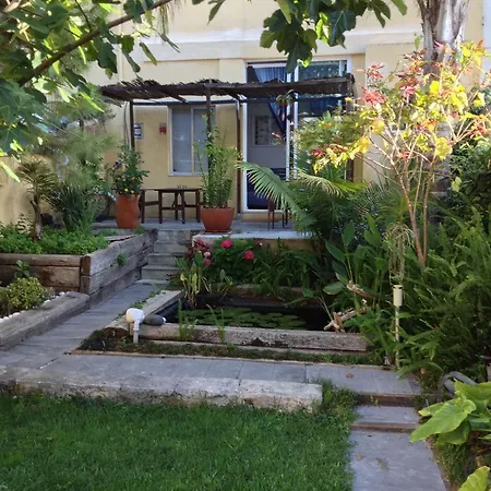 Sol Garden *